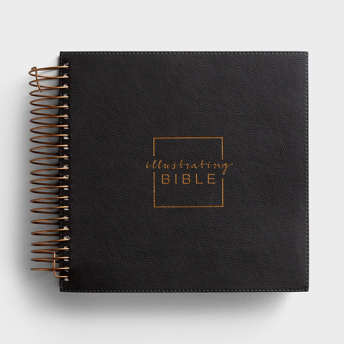 Illustrating Bible - NIV Dark Gray