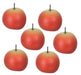 Town Square Miniatures - Peaches - 6pcs