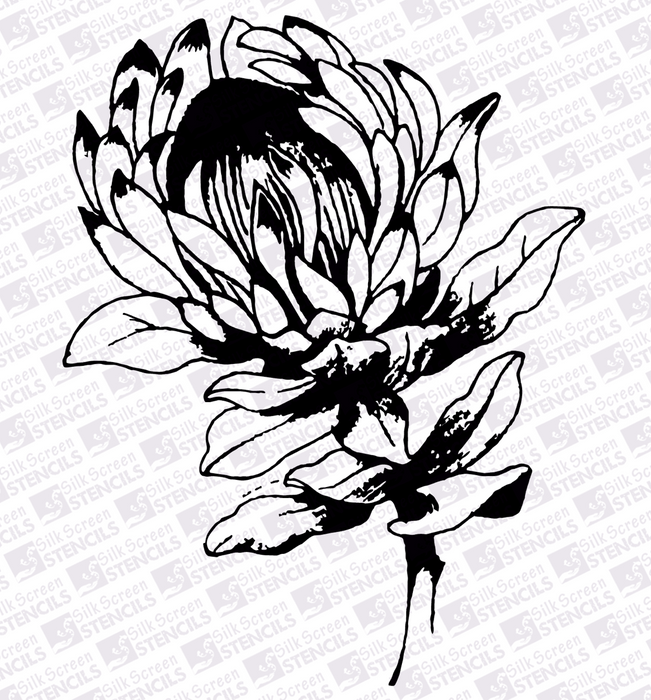 Doodles - Silk Screen Stencils - Medium Protea 1 - 92mm x 98mm