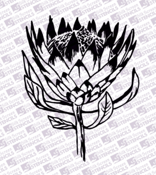 Doodles - Silk Screen Stencils - Medium Protea 2 - 92mm x 98mm