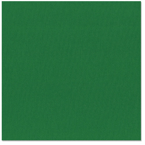 Bazzill Basics - Monochromatic Cardstock - 12"x12" - Green