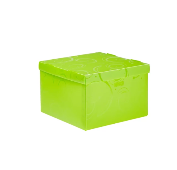 Creative Swirl Storage Box Lime - Medium