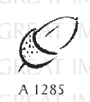 Great Impressions - Wood Mounted Stamp - Acorn