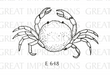 Great Impressions - Wood Mounted Stamp - Crab