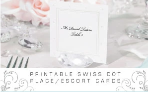 David Tutera - Printable Swiss Dot Place / Escort Cards - White - 2.5 by 2.5 inch - 72 Pc