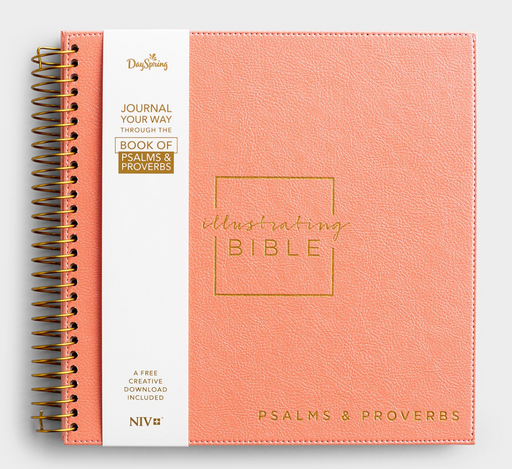 Dayspring NIV - Illustrating Bible – Books of Psalms & Proverbs