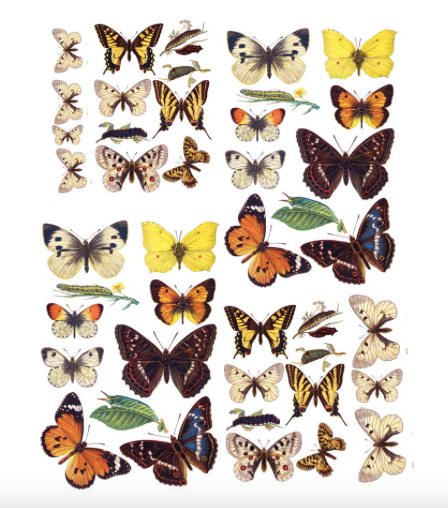 Craft Oclock Rice Paper Butterflies – A4 Sheet