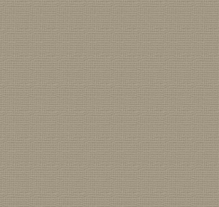 Couture Creations Cardstock - Silver Star (216GSM) 10 pk