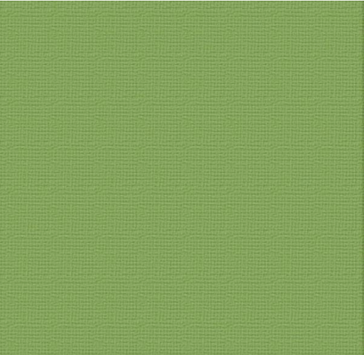 Couture Creations Cardstock - 12x12 - Jungle (216gsm) 10pk