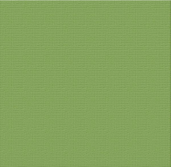 Couture Creations Cardstock - 12x12 - Jungle (216gsm) 10pk