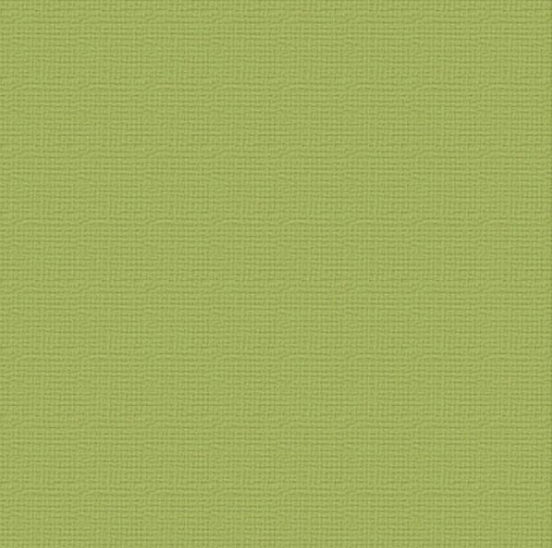 Cardstock - 12x12 - Olive Grove (216gsm) 10pk