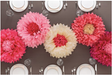 Martha Stewart Crafts - Flower - Pom-Pom Kit