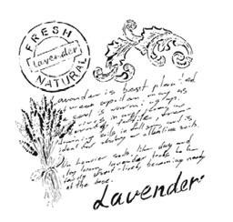 Cadence - Stencils - Lavender