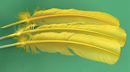 Pudney's - Turkey Quills - Yellow